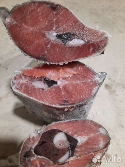 Кета свежемороженная