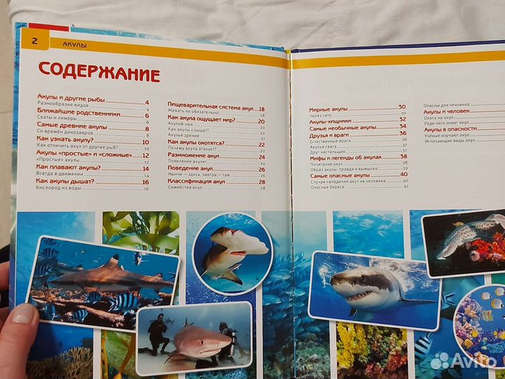 Книга про акул