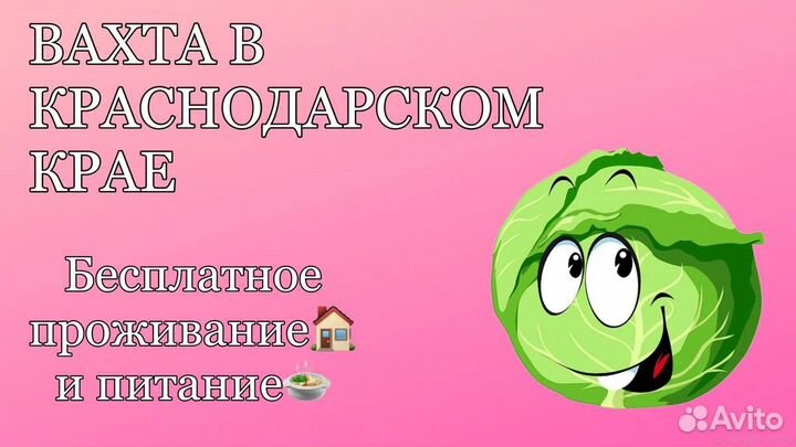 Разнорабочие Вахта(проживание+питание) Новороссийс