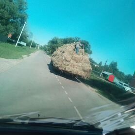 Сено луговое в тюках с доставкой