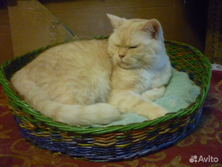 Лежанка для животных. Под заказ