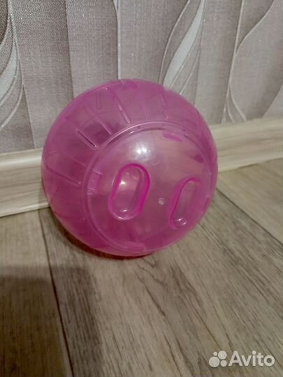 Шарик для грызунов