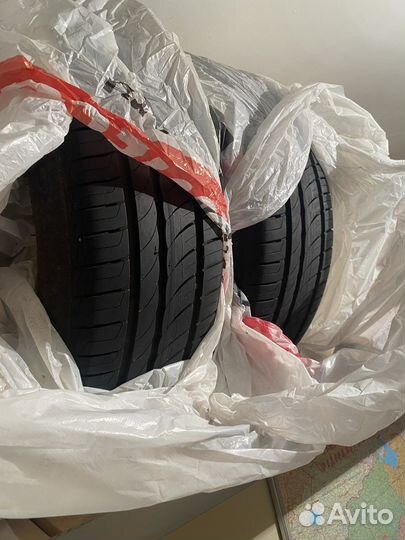 Pirelli Cinturato P1 Verde 205/55 R16