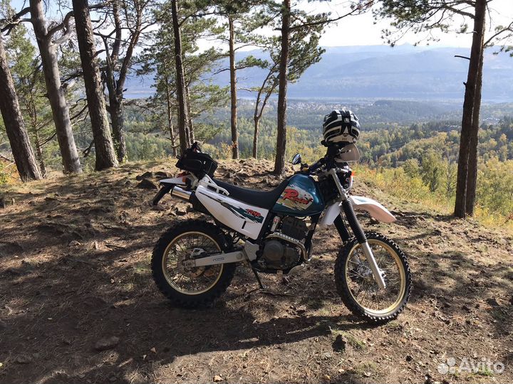 Yamaha ttr 250 raid