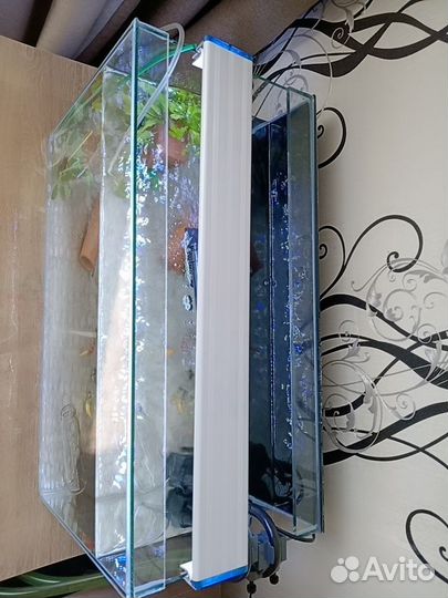 Рыбки и всё для аквариума