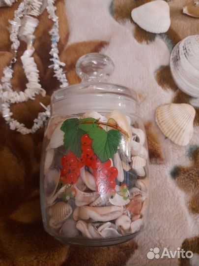 Коллекция ракушки,галька