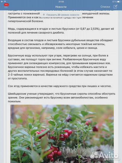 Черника замороженная Брусника