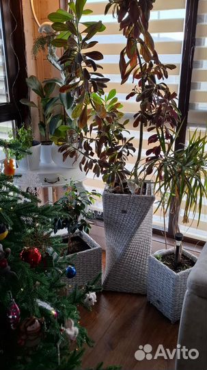 Стойка для цветов напольная