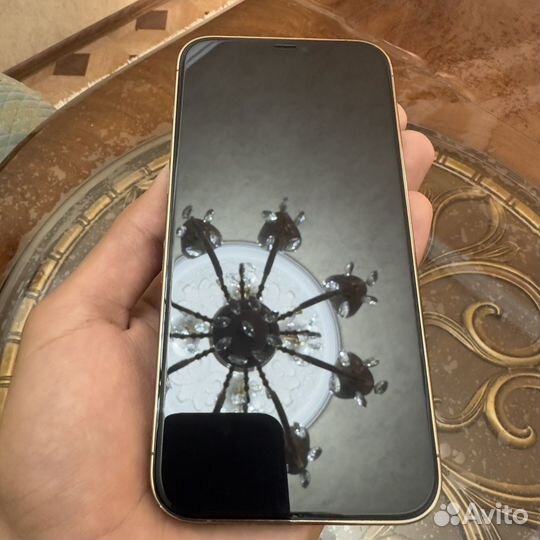 iPhone 12pro max 256g