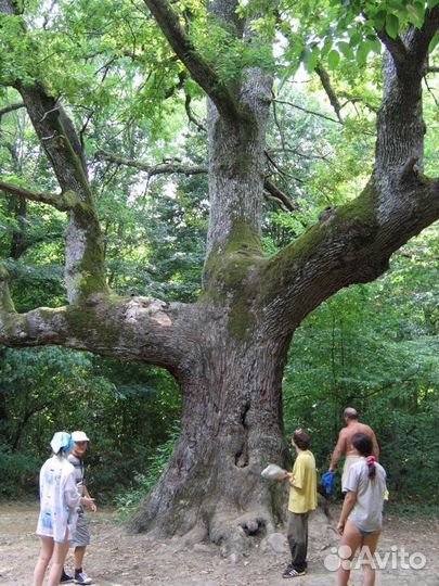 Джипинг Поездки в горы к Пшадским водопадам