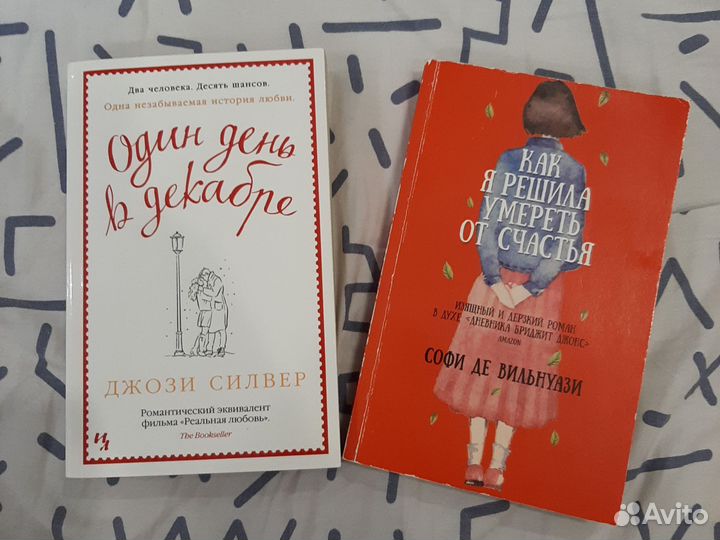 Один день в декабре, Софи ДЕ Вильнуази