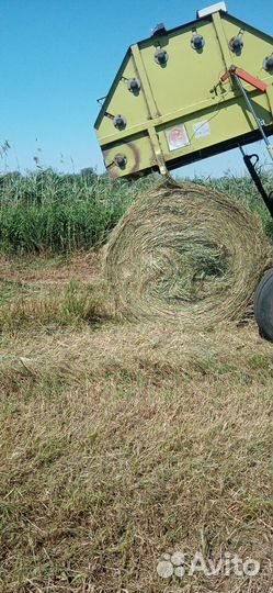 Сено в рулонах 3000 за тону