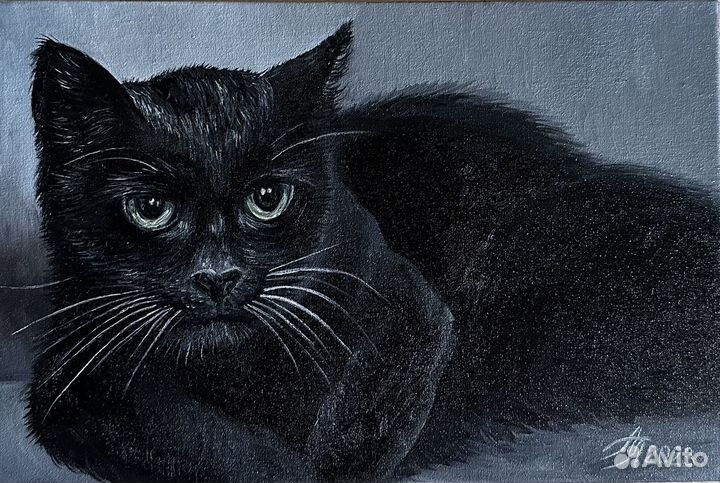 Картина маслом на холсте 20/30 кот кошка