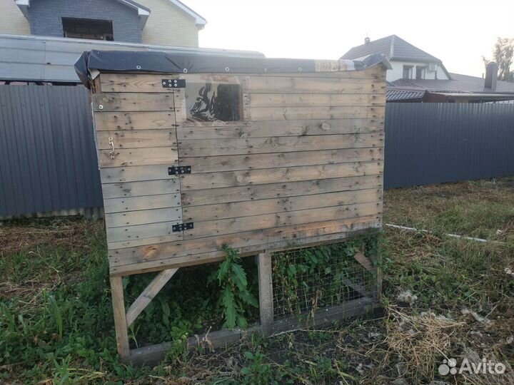 Курятник 20 кур