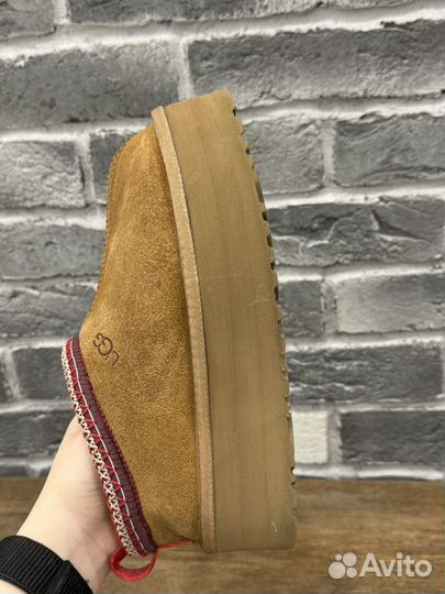 UGG tazz chestnut