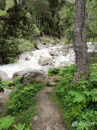 Поездки в горы, на море