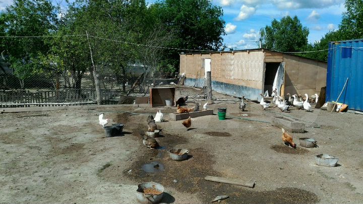 Участок 17 сот. (ИЖС)