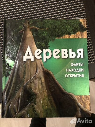 Детская серия книг Деревья,Войны,Рим