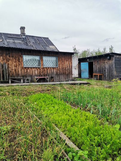 Дача 29,1 м² на участке 15 сот.