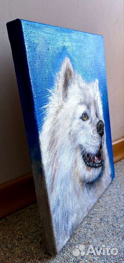 Портрет собаки. Самоед