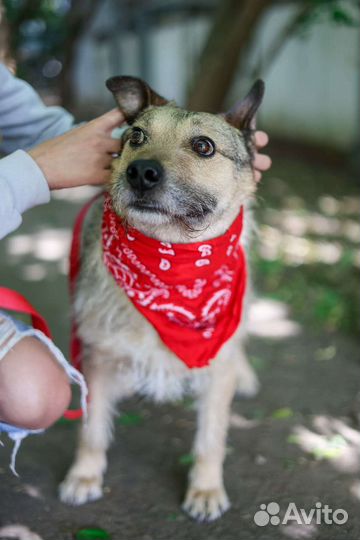 Верный ждёт своего человека