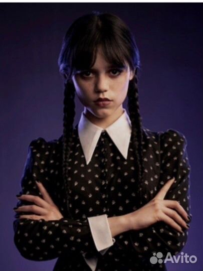 Аниматор домой, в саду, на улицеУэнсдей