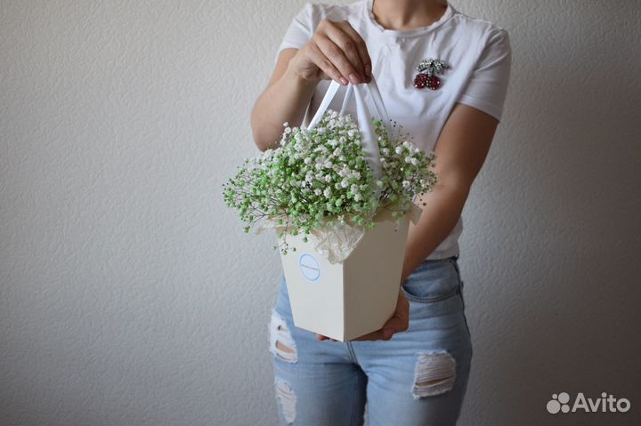 Гипсофила Цветы Букеты Доставка Спб