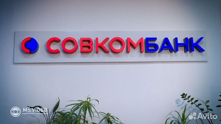 Видеосъёмка и видеомонтаж / 