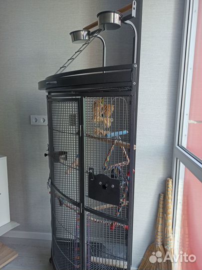 Клетка -вольер для попугаев бу