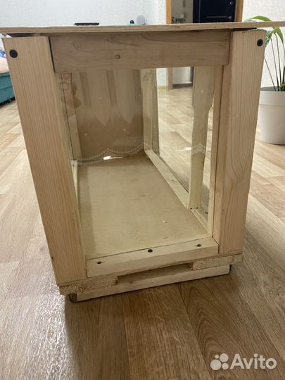 Прозрачный улей