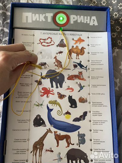 Игра развивающая для детей. Электровикторина