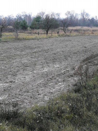 Участок 10 сот. (СНТ, ДНП)