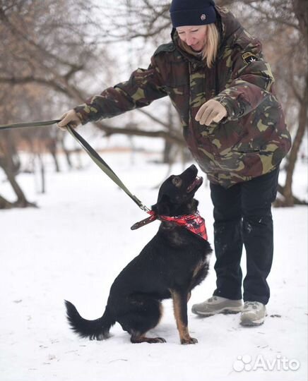 Интеллигентный мальчик Виктор