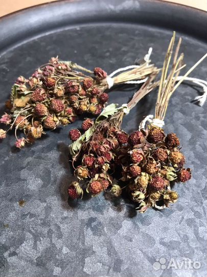 Земляника сушеная в букетиках