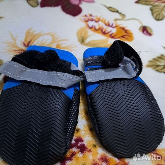 Обувь для собак. Третий носок в подарок