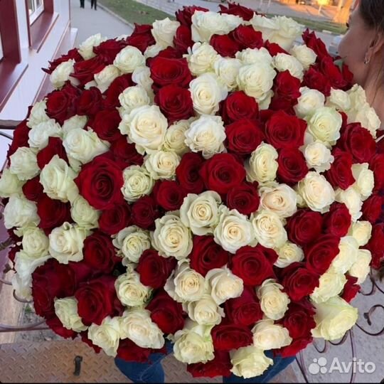 Роза букет 15/25/51/101