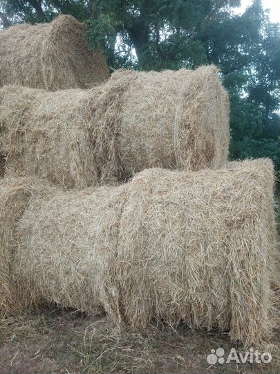 Солома в тюках