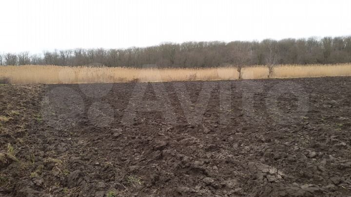 Участок 10 сот. (СНТ, ДНП)