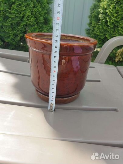 Горшки для орхидей стеклянные и керамика