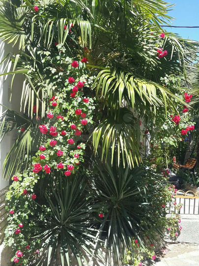 Дом 40 м² на участке 2 сот.