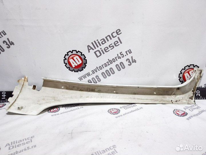 Декоративная накладка лобового стекла лев. MAN TGA