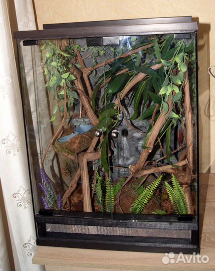 Террариум для ящериц и пауков