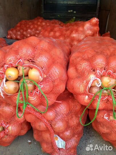 Помидор, картофель, чеснок, перец,лук