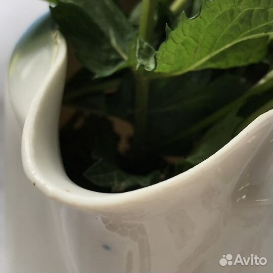 Молочник сливочник Дулево Фарфор