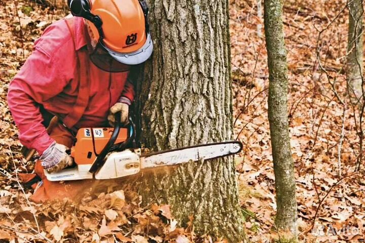 Спил деревьев