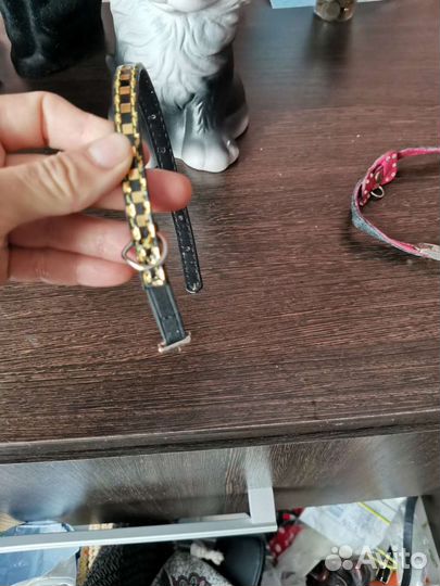 Ошейник для щенка, кошек