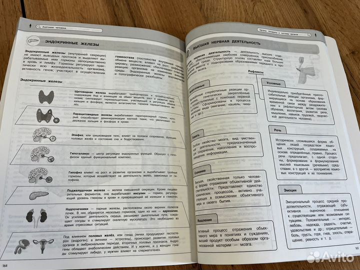 Наглядный школьный курс биология