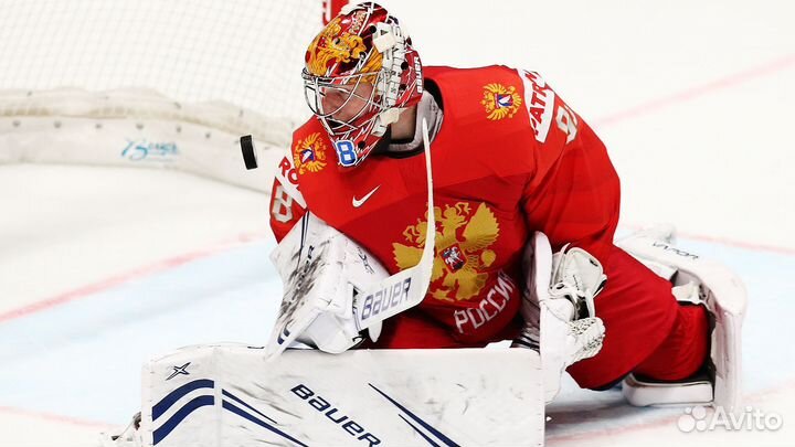 Хоккейный вратарь