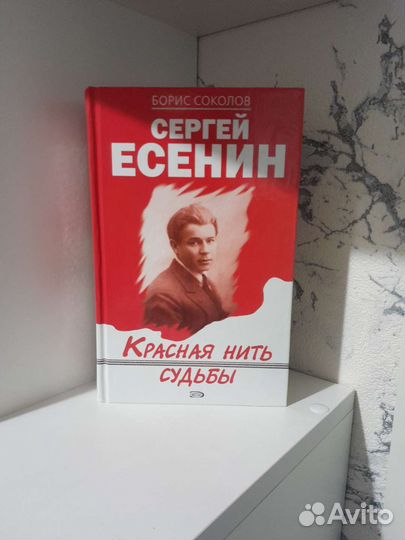 Книга о жизни и творчестве Сергея Есенина