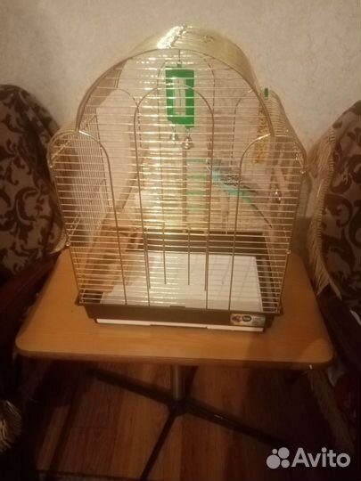 Волнистый попугай с клеткой